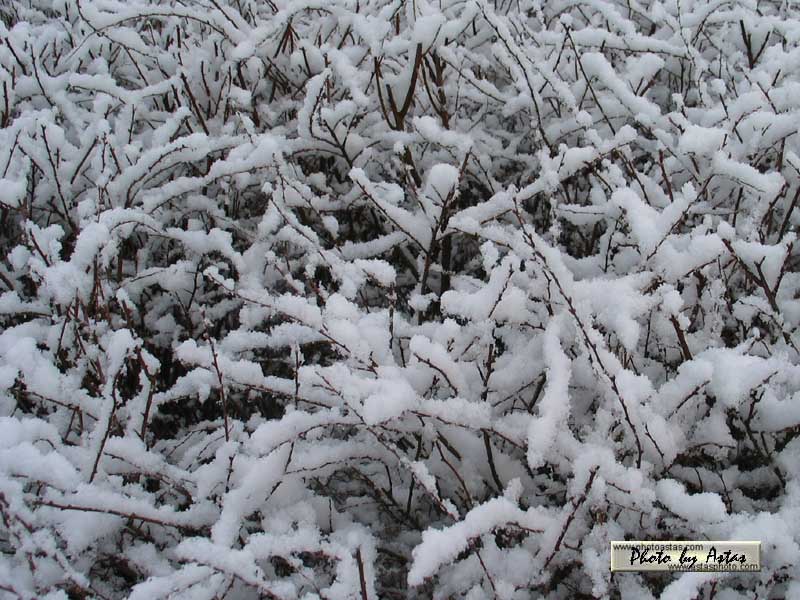 Schliessen von wetterkabriolen00013.jpg