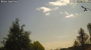 Klick für Originalgröße :webcam_00192.jpg