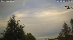 Klick für Originalgröße :webcam_00219.jpg