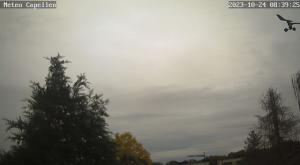 Klick für Originalgröße :webcam_00876.jpg