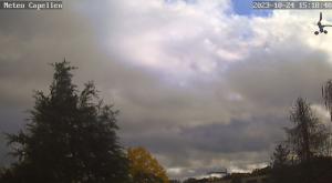 Klick für Originalgröße :webcam_00881.jpg
