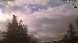 Klick für Originalgröße :webcam_00919.jpg