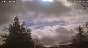 Klick für Originalgröße :webcam_00924.jpg
