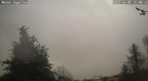 Klick für Originalgröße :webcam_01000.jpg