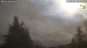 Klick für Originalgröße :webcam_01002.jpg