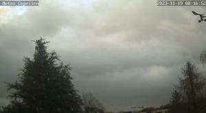 Klick für Originalgröße :webcam_01103.jpg