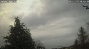 Klick für Originalgröße :webcam_01313.jpg