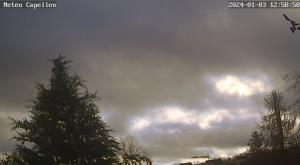 Klick für Originalgröße :webcam_01386.jpg
