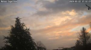 Klick für Originalgröße :webcam_01527.jpg