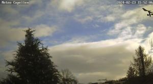 Klick für Originalgröße :webcam_01730.jpg