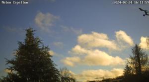 Klick für Originalgröße :webcam_01737.jpg