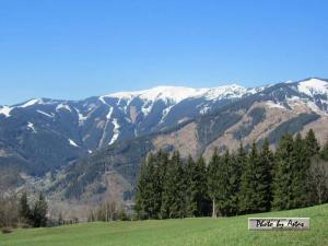 Klick für Originalgröße :2013zellamsee014.jpg