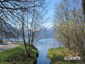 Klick für Originalgröße :2013zellamsee048.jpg