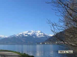 Klick für Originalgröße :2013zellamsee049.jpg