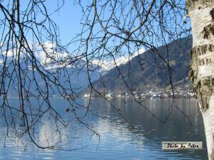 Klick für Originalgröße :2013zellamsee051.jpg