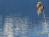 Bild#52(2013zellamsee056.jpg)