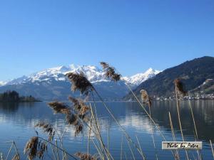 Klick für Originalgröße :2013zellamsee057.jpg