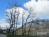 Bild#150(2013zellamsee161.jpg)