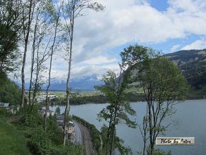 Klick für Originalgröße :2013zellamsee189.jpg